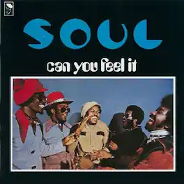 S.O.U.L. - Can You Feel It? - VINYL LP