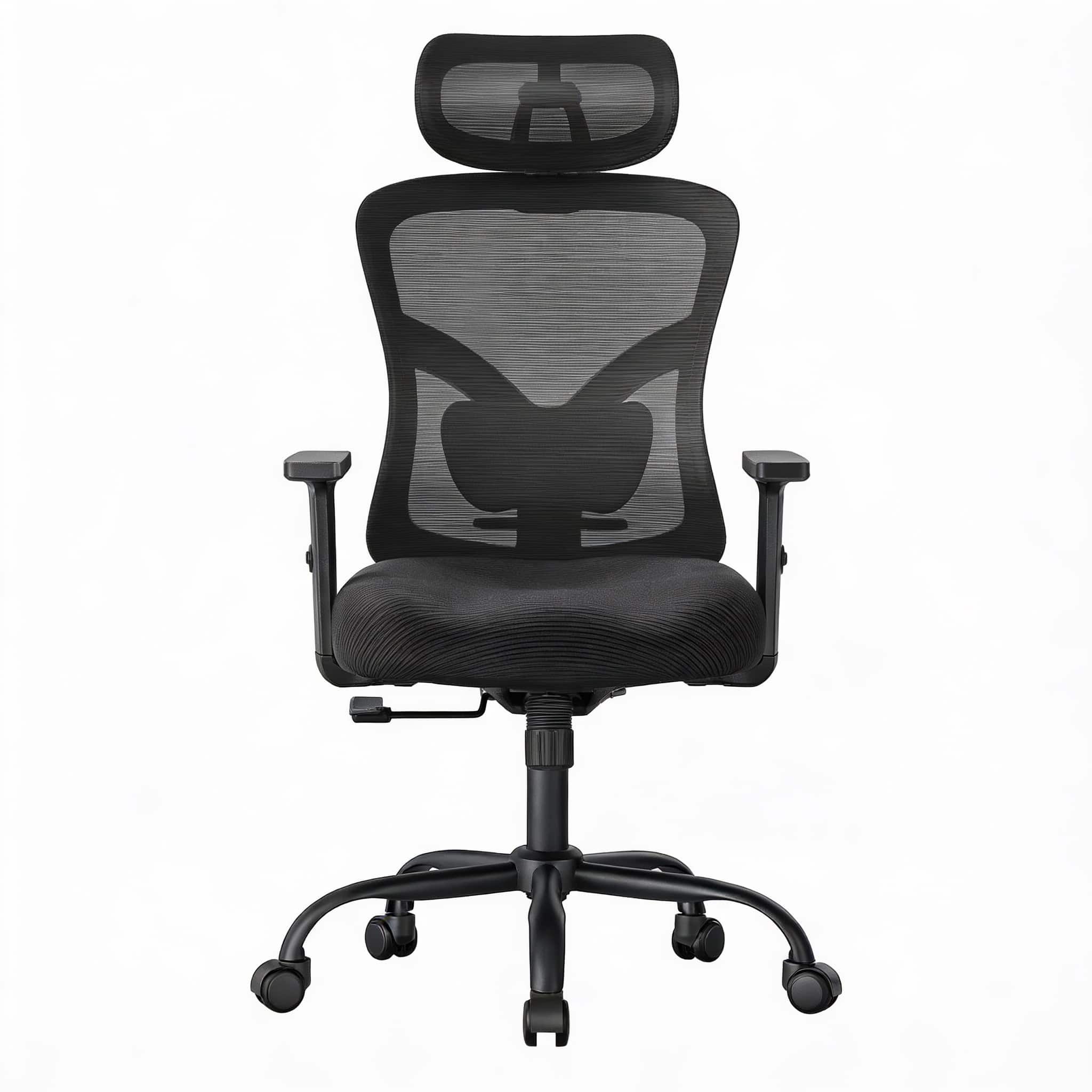 Frangdom - Ergonomic Mesh Chair 2D Headrest Lumbar Support 130° Tilt 286 lb - BLACK 21.2"D x 18.9"W x 45.3"H