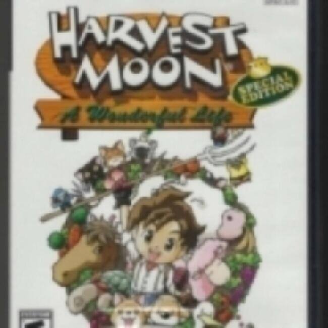 Harvest Moon A Wonderful Life Special Edition - PlayStation 2 - PlayStation 2