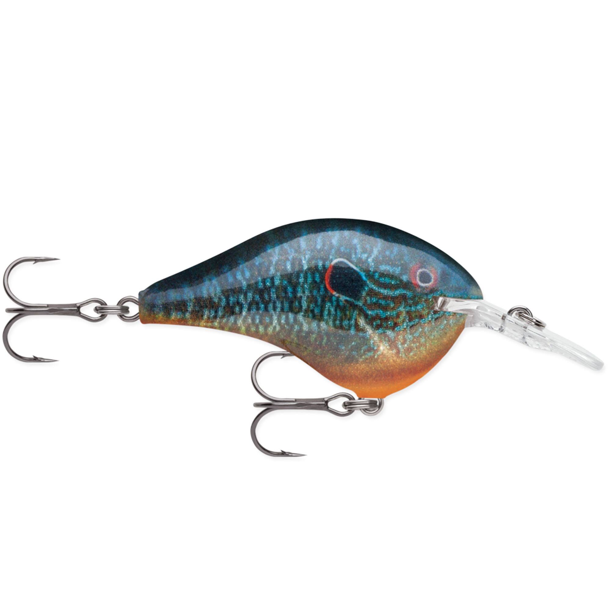 Live Pumpkinseed