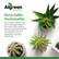 Algreen Home and Garden
Recyclable. Sustainable.
Our products bring home decor and gardening to a new level while helping conserve natural resources. We strongly believe in investing in our own employees and local community.