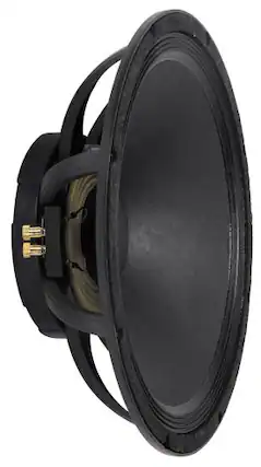 Front. Peavey - 1808-8 SPS BWX Woofer.