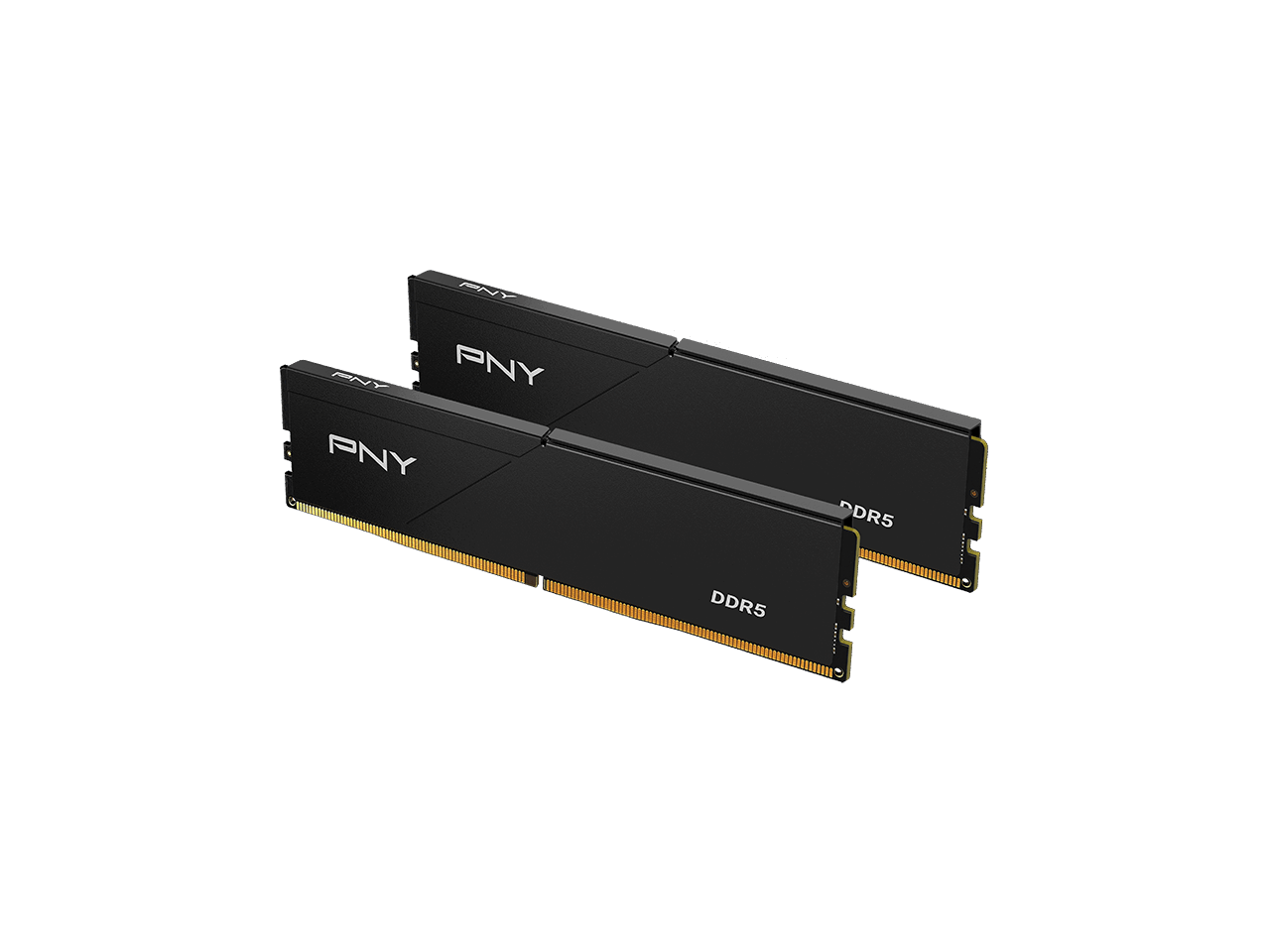 AND  
PNY  
PNY  
DDR5