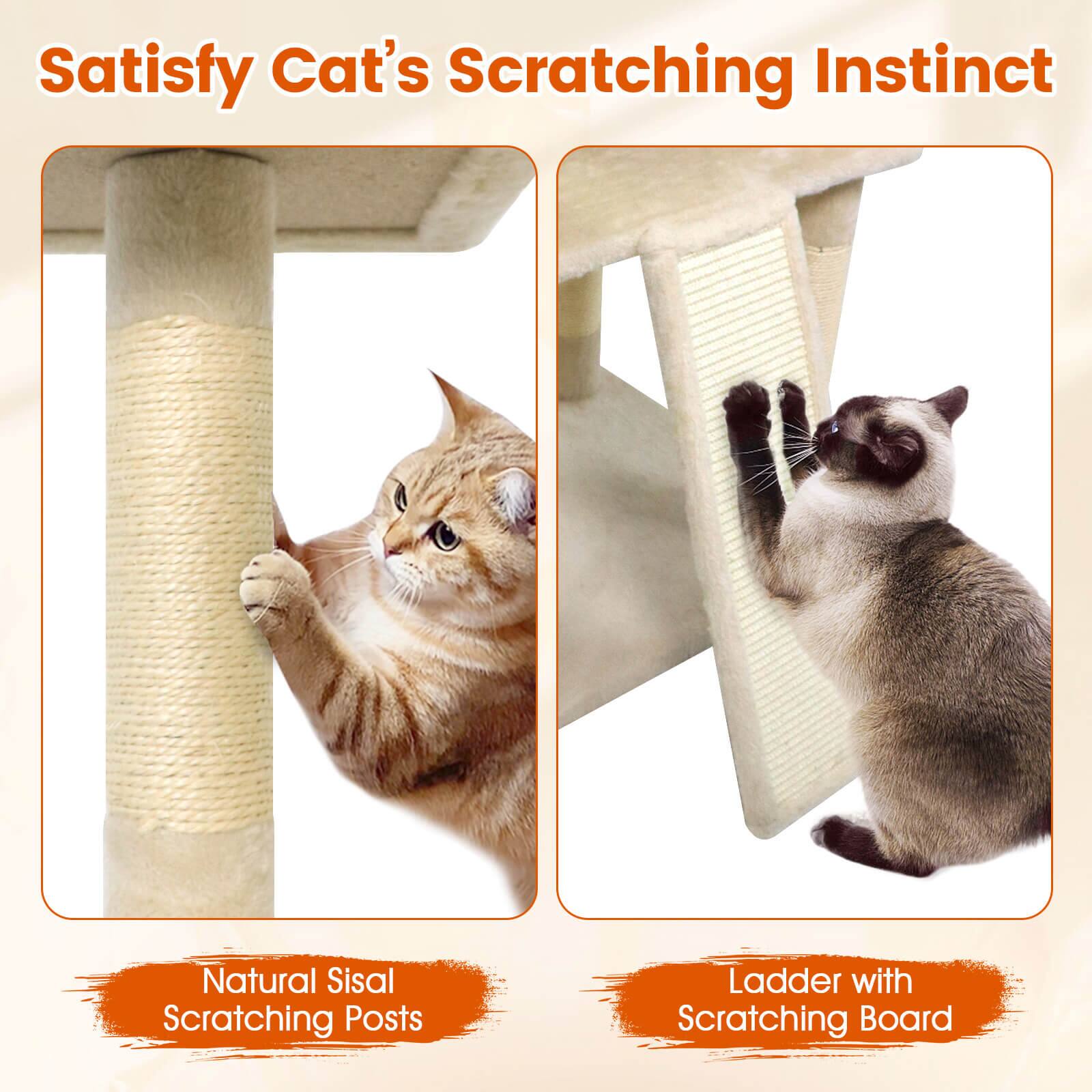 Satisfy Cat's Scratching Instinct

Natural Sisal Scratching Posts

Ladder with Scratching Board