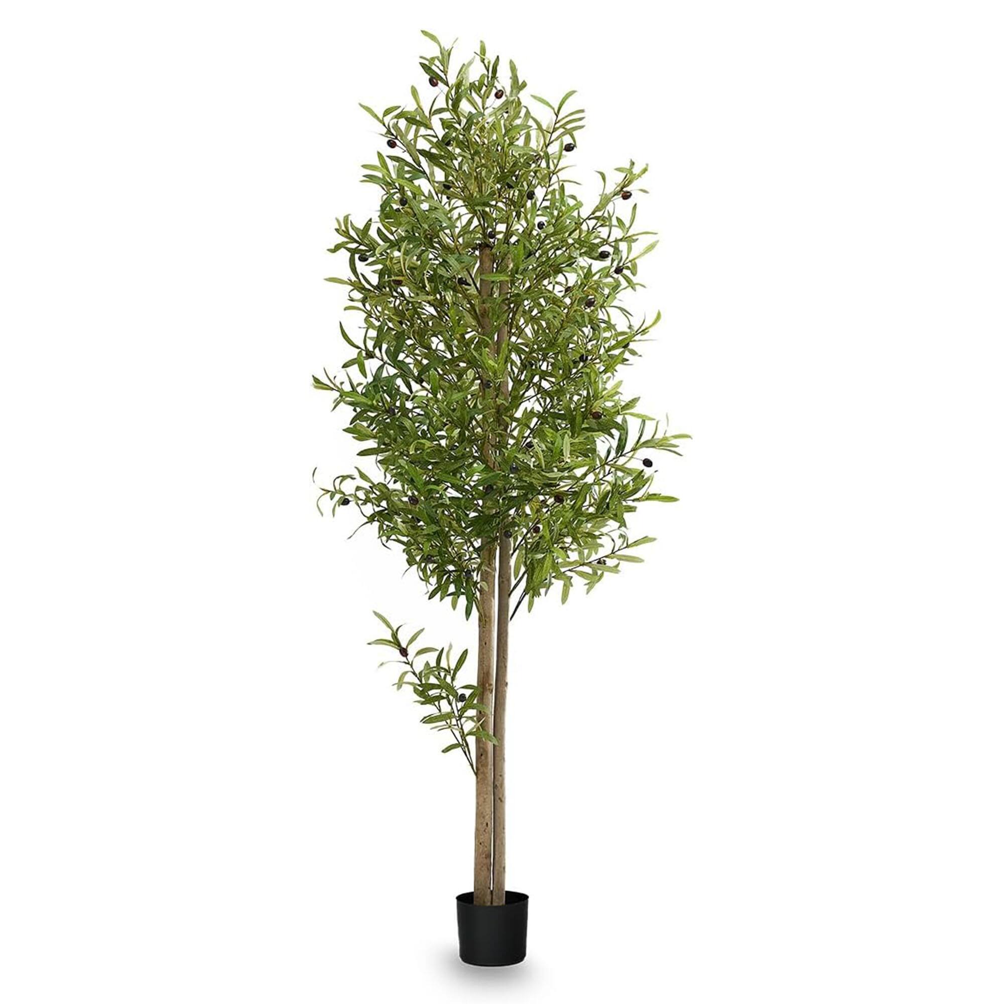 Maia Shop - Artificial Olive Tree 6 Feet Tall Potted Home Decoration, 71 Inches - Green