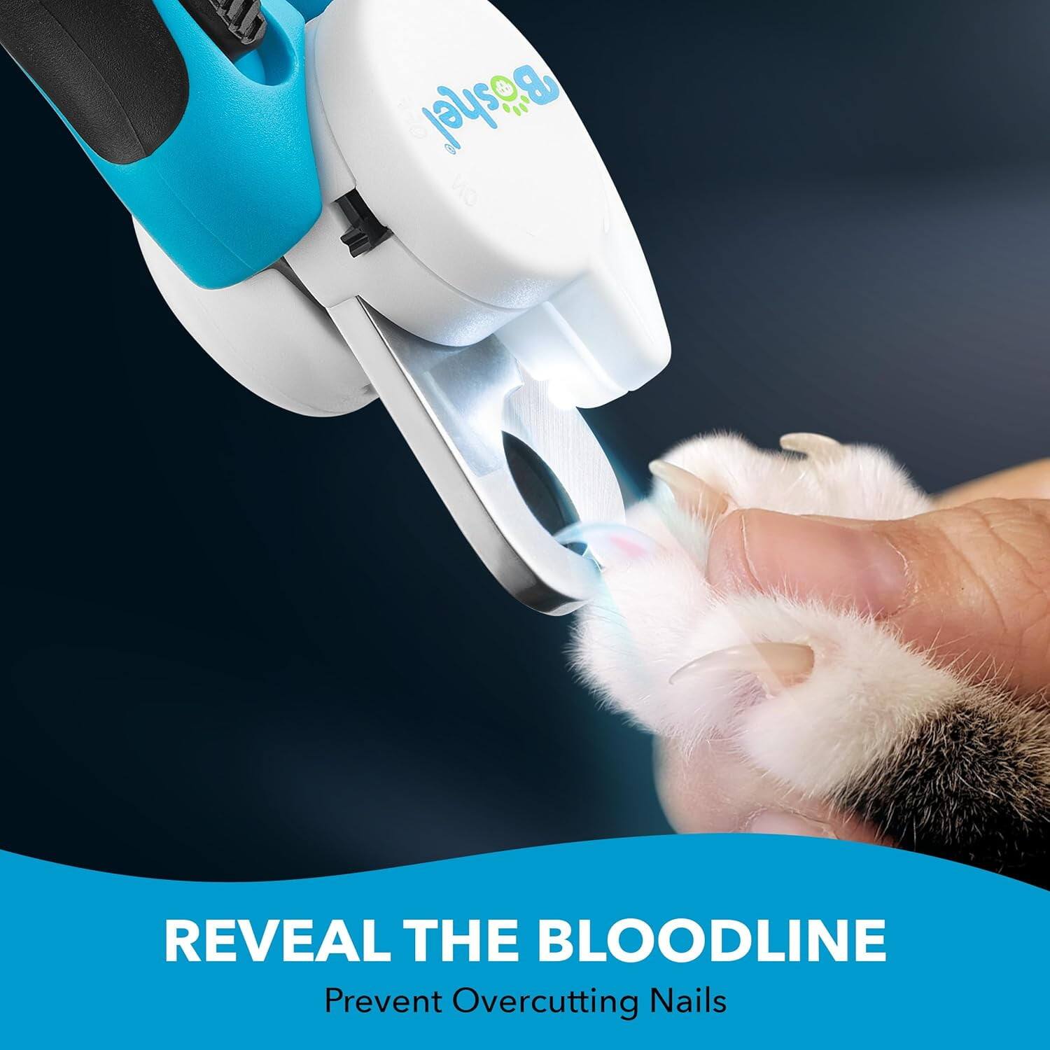 REVEAL THE BLOODLINE  
Prevent Overcutting Nails