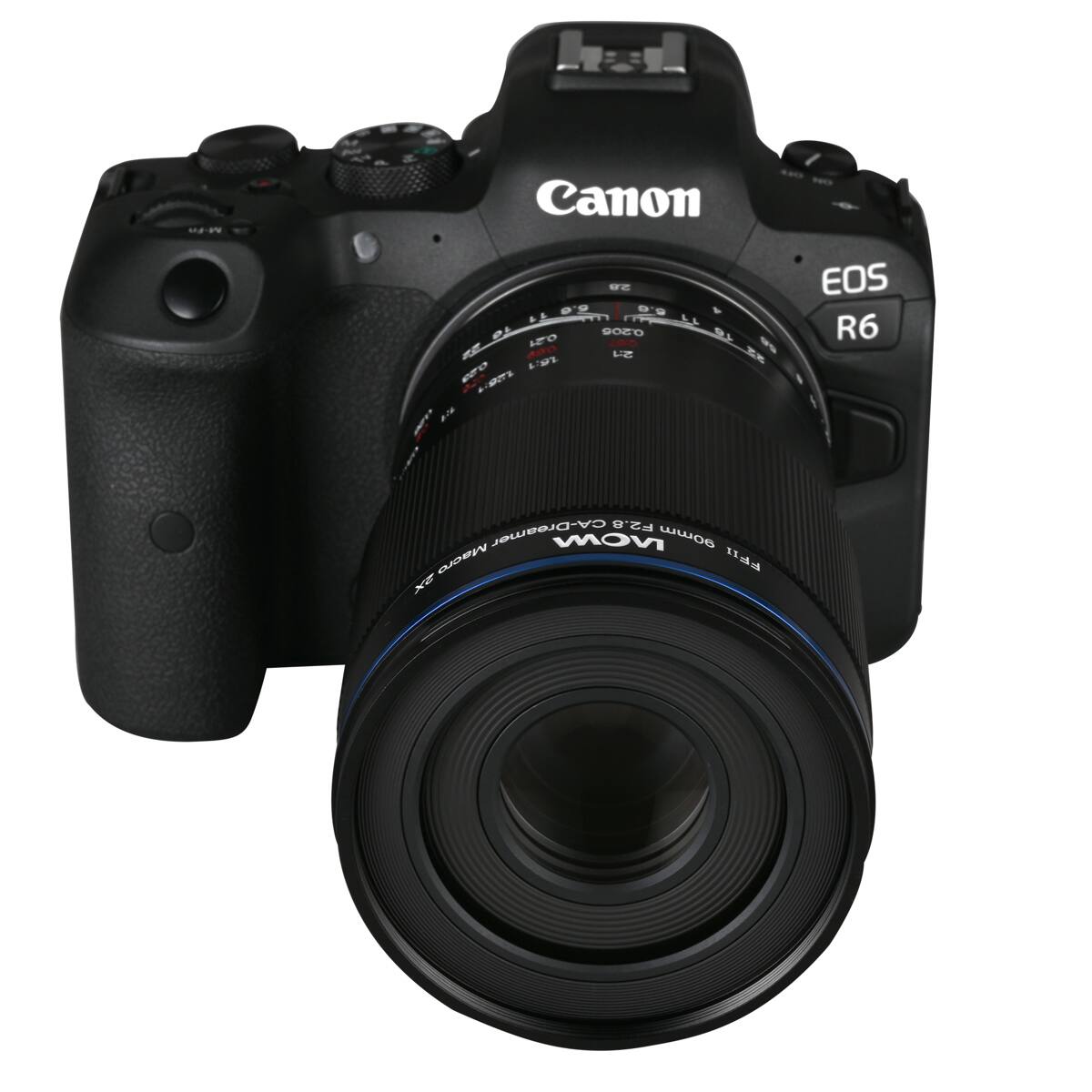 Canon EOS R6 with RF 90mm Macro IS STM F2.6