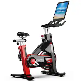 HARISON - Omega B3820 Track Eco Commercial Exercise Bike - Black