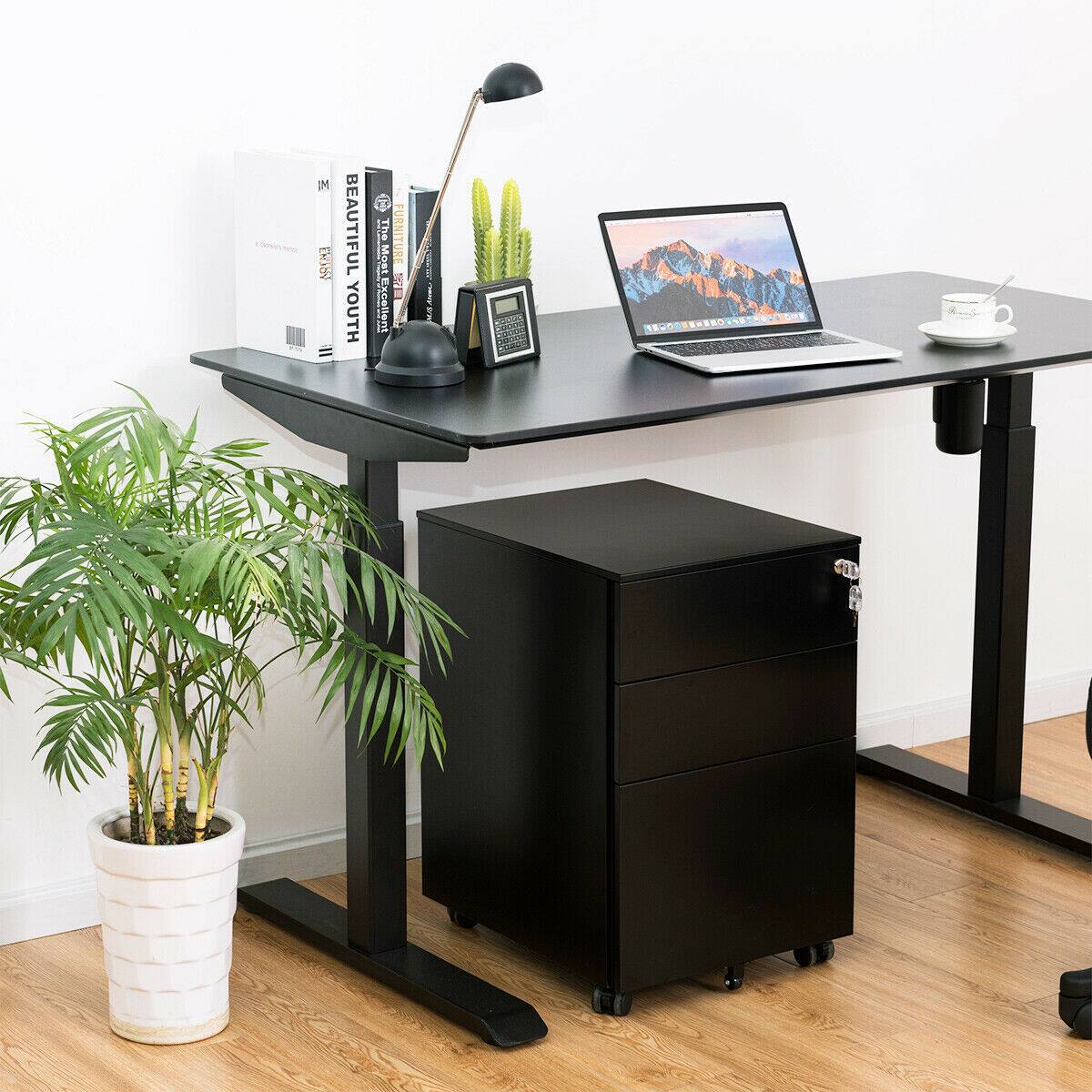 Dody II BEAUTIFUL YOUTH The FURNITURE Most Excellent