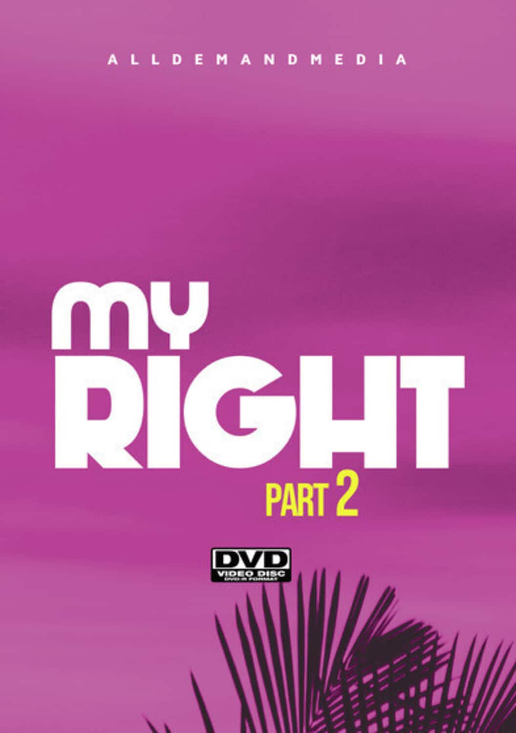My Right 2   - DVD price history on PriceWatchPro