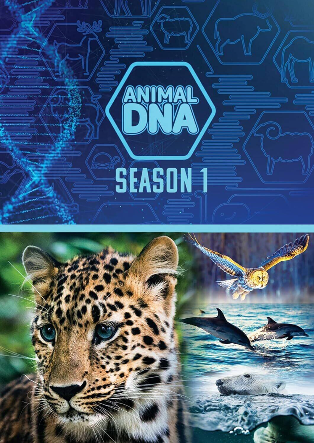 Animal DNA: Season One - DVD
