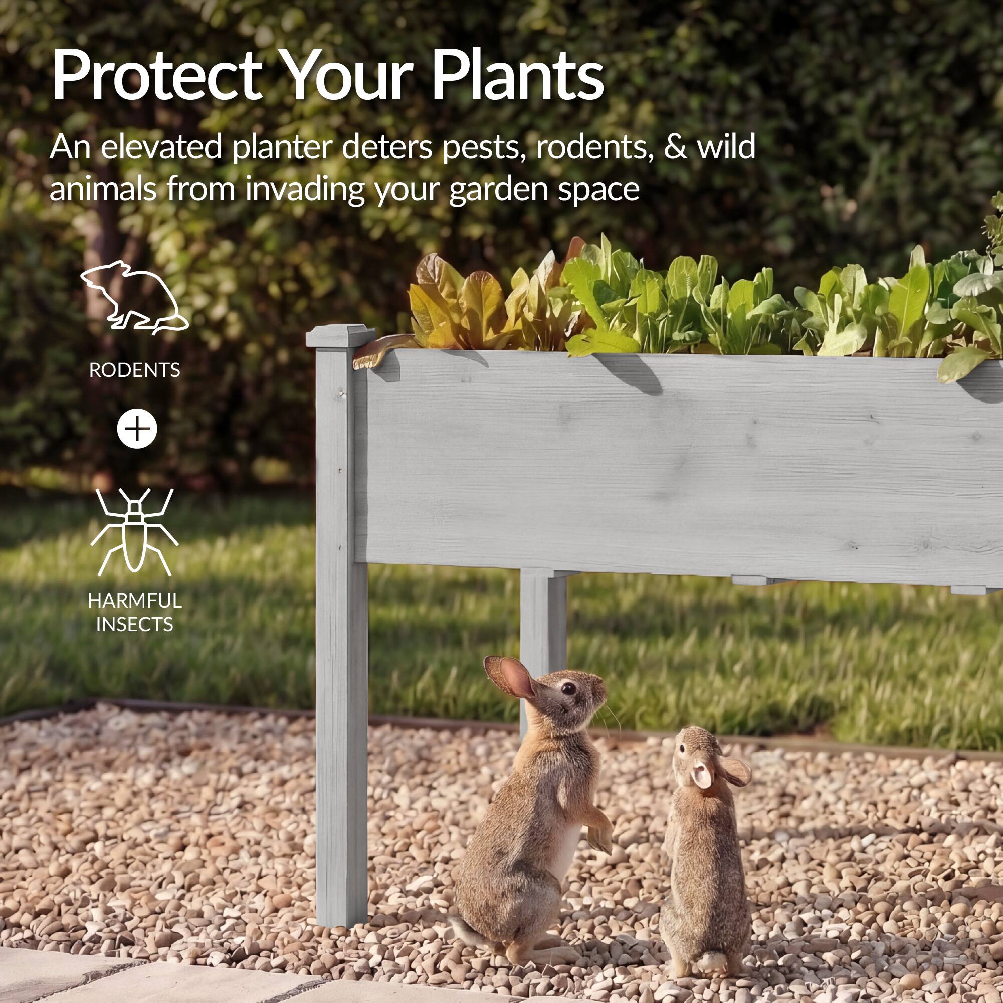 Protect Your Plants

An elevated planter deters pests, rodents, & wild animals from invading your garden space

RODENTS + HARMFUL INSECTS