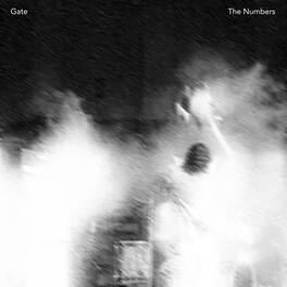 The Gate - The Numbers - VINYL LP