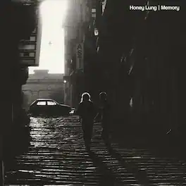 Honey Lung - Memory - VINYL LP