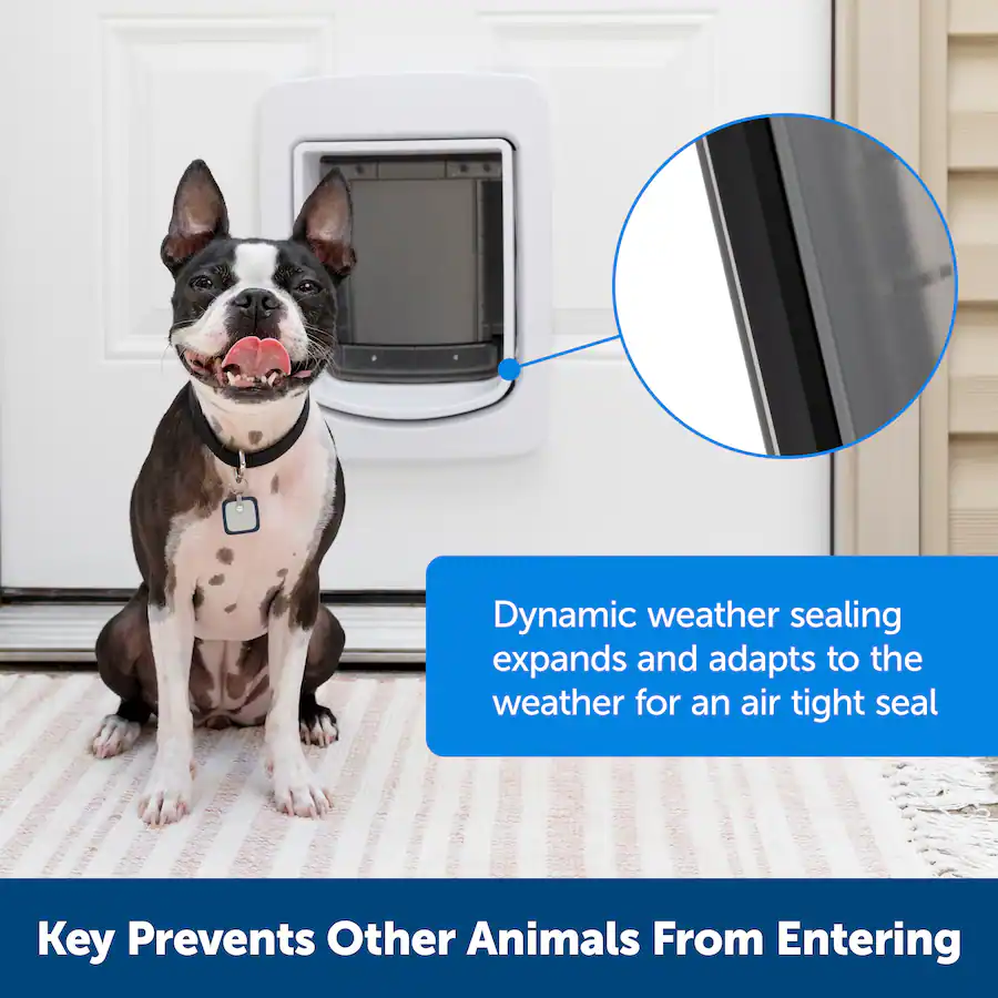 PetSafe SmartDoor Connected Pet Door, Dog and Cat, Selective Entry