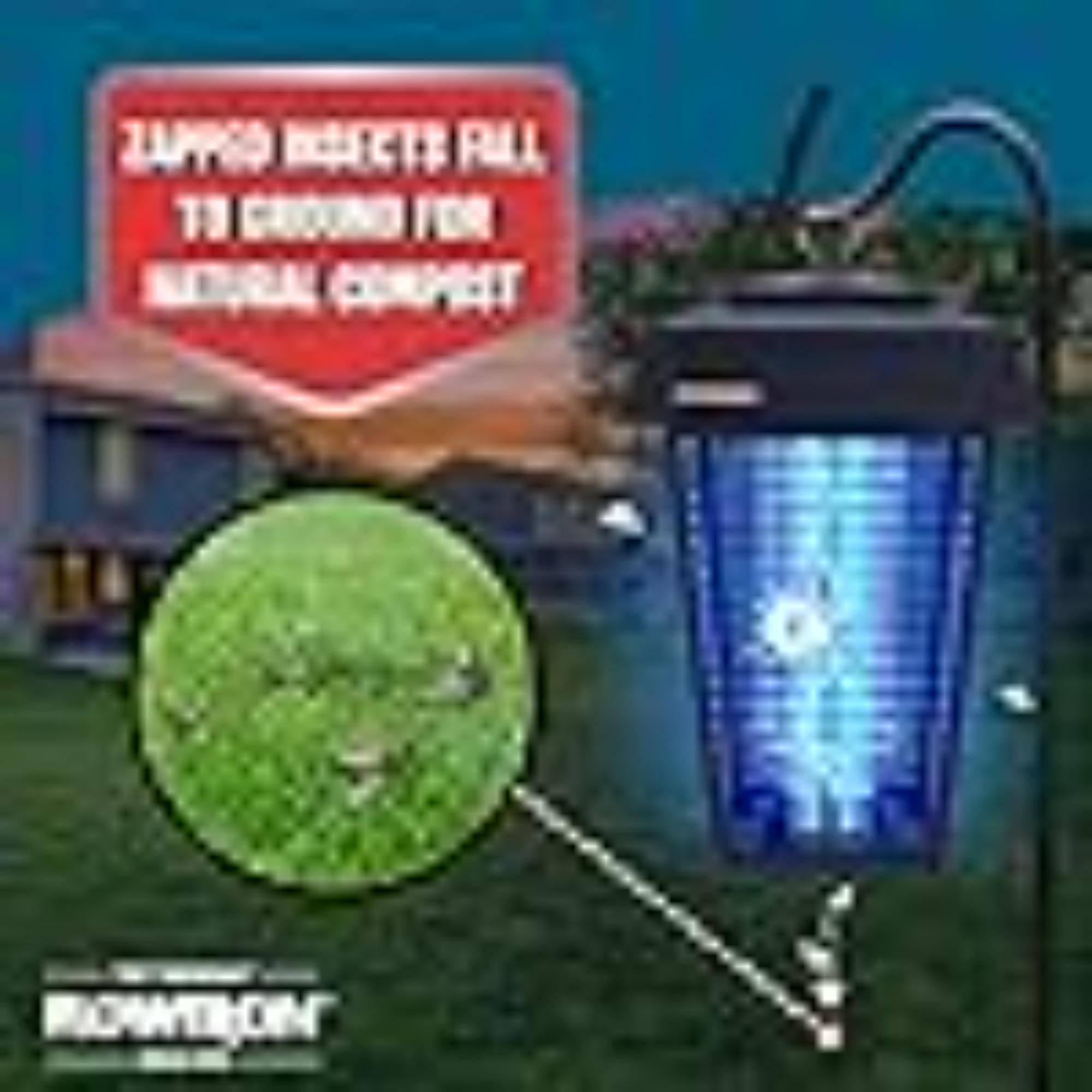 ZAPPO INSECTS FALL TO GROUND FOR NATURAL COMPOST