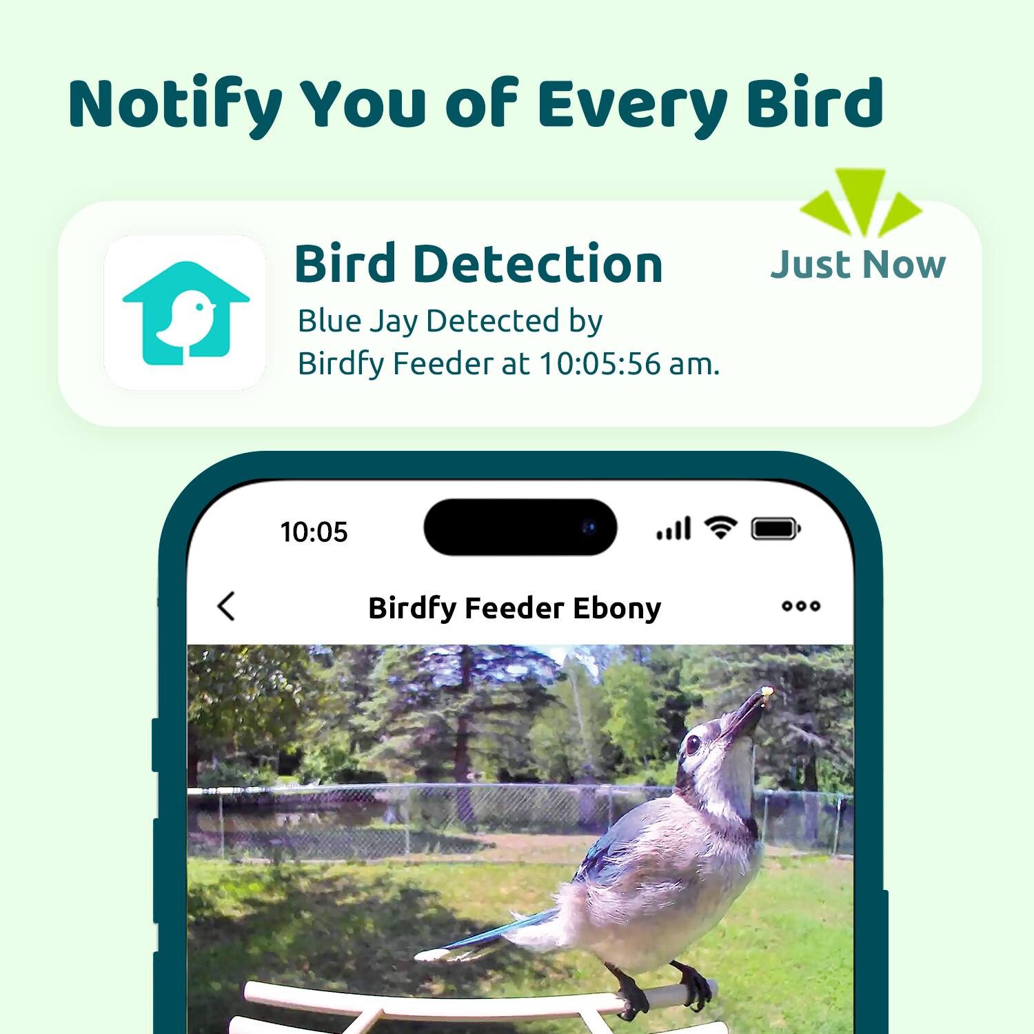 Notify You of Every Bird

Bird Detection
Blue Jay Detected by Birdfy Feeder at 10:05:56 am.

Just Now

Birdfy Feeder Ebony