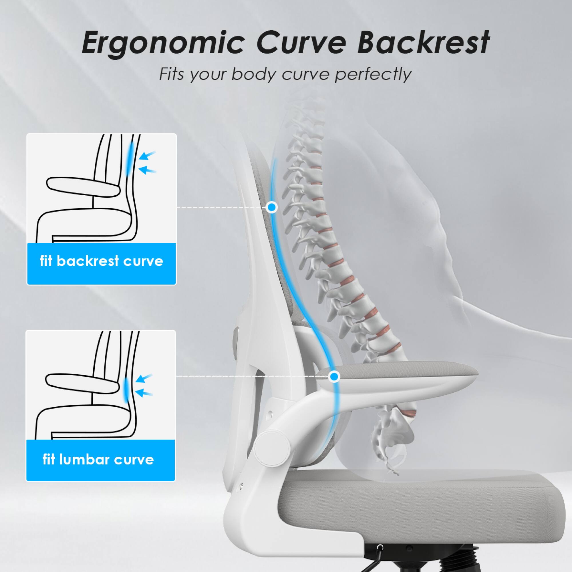 Ergonomic Curve Backrest  
Fits your body curve perfectly  

fit backrest curve  
fit lumbar curve