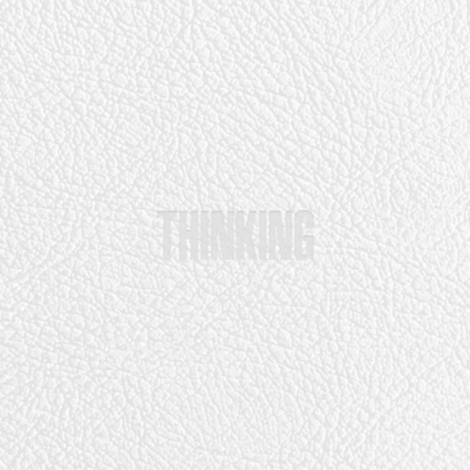 Zico - Thinking (incl. 112pg Phootbook, 2 x Postcard + 2 x Sticker)   - COMPACT DISCS [CD] price history on PriceWatchPro