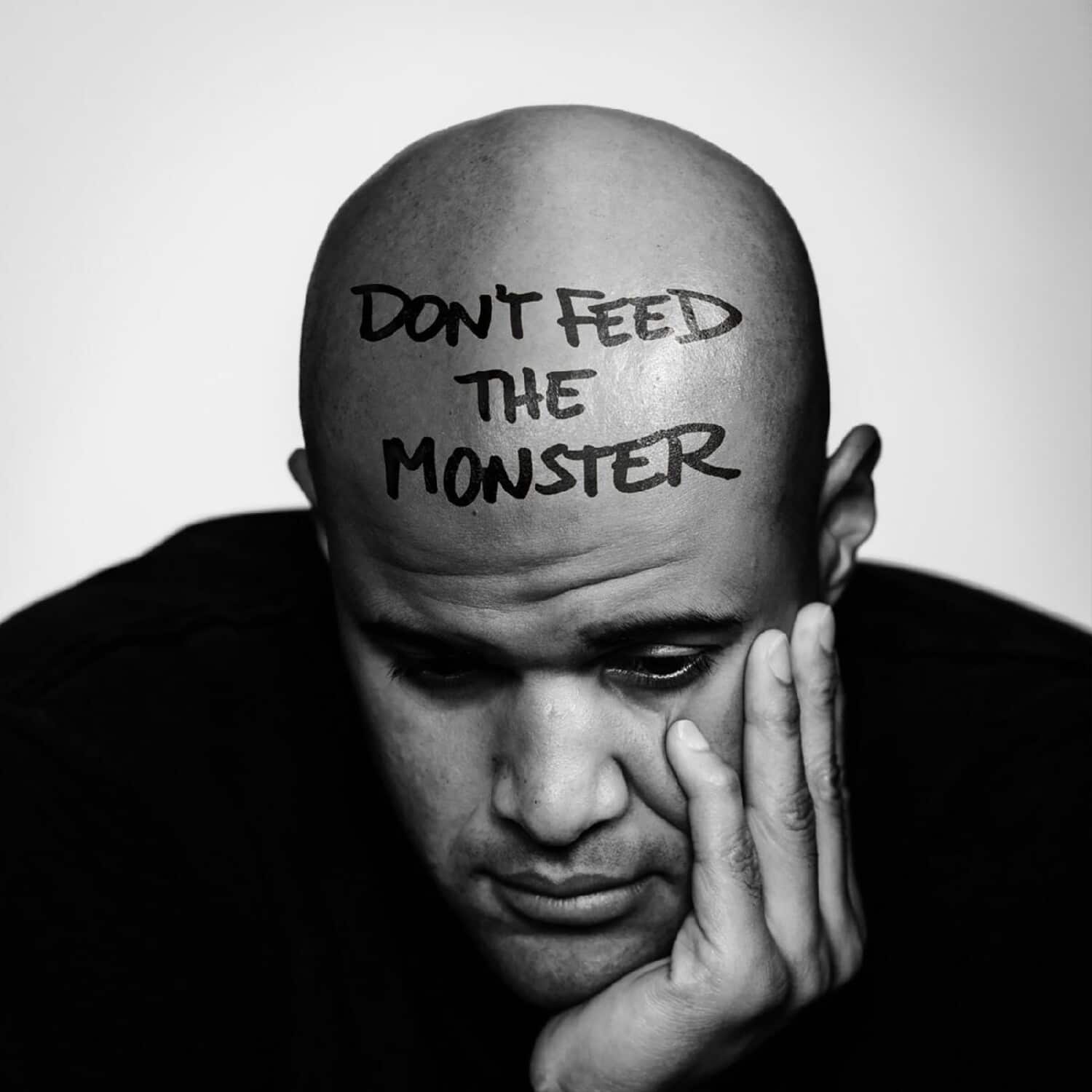 Homeboy Sandman - Don't Feed The Monster   - VINYL LP price history on PriceWatchPro