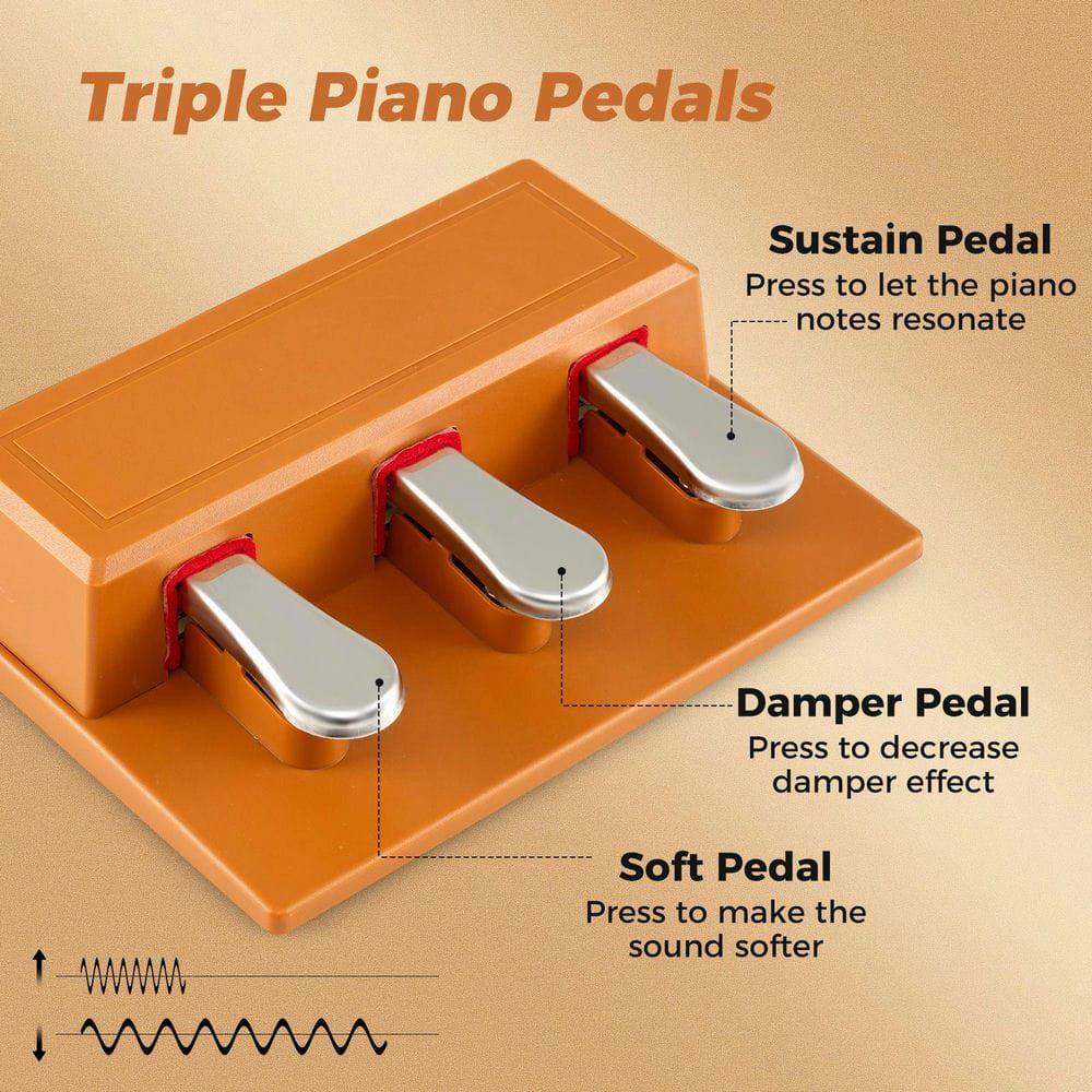 Triple Piano Pedals

Sustain Pedal  
Press to let the piano notes resonate

Damper Pedal  
Press to decrease damper effect

Soft Pedal  
Press to make the sound softer