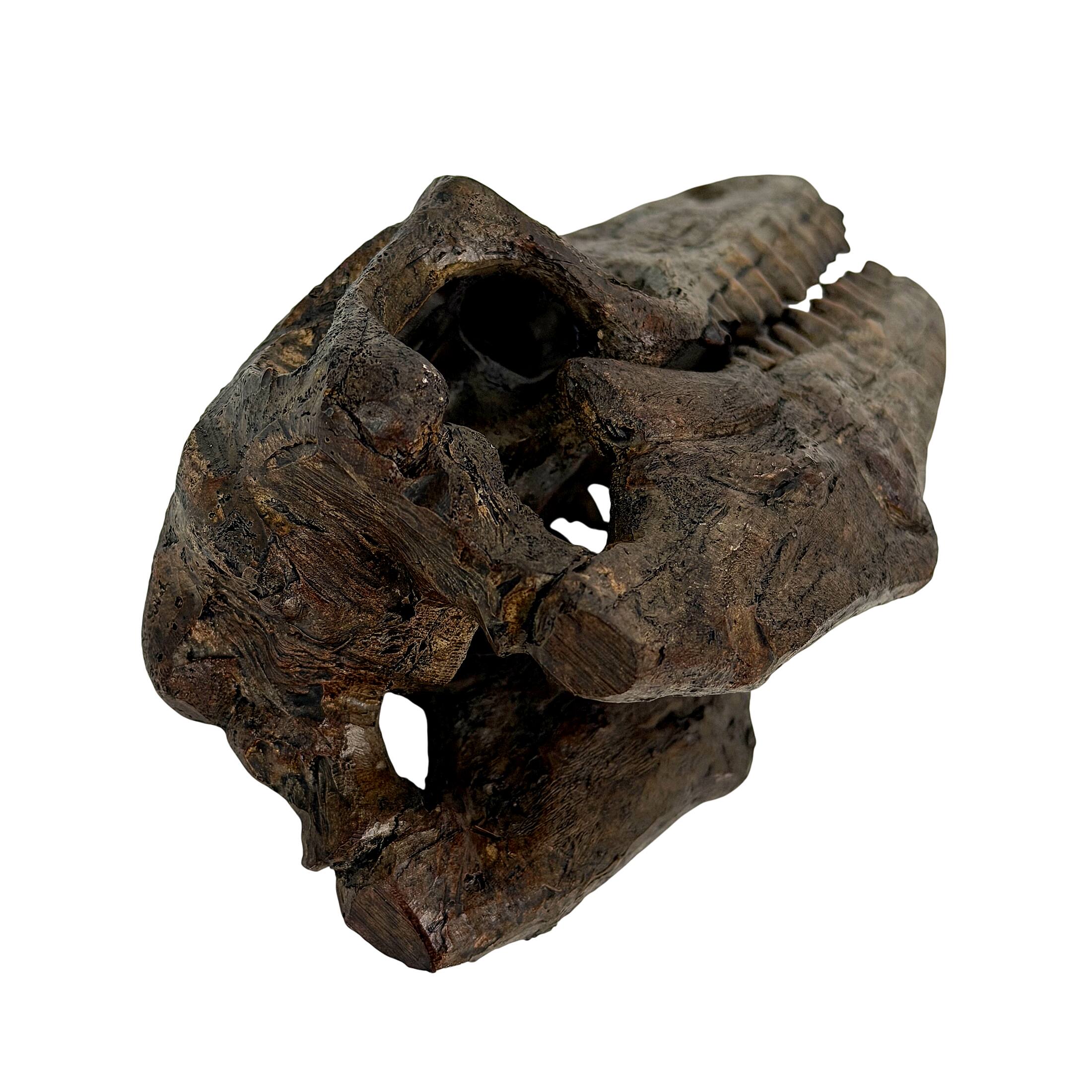 Alt View 1. Things2Die4 - Mosasaurus Statue Brown Resin Prehistoric Tabletop Decor 7.5 Inch - Brown.