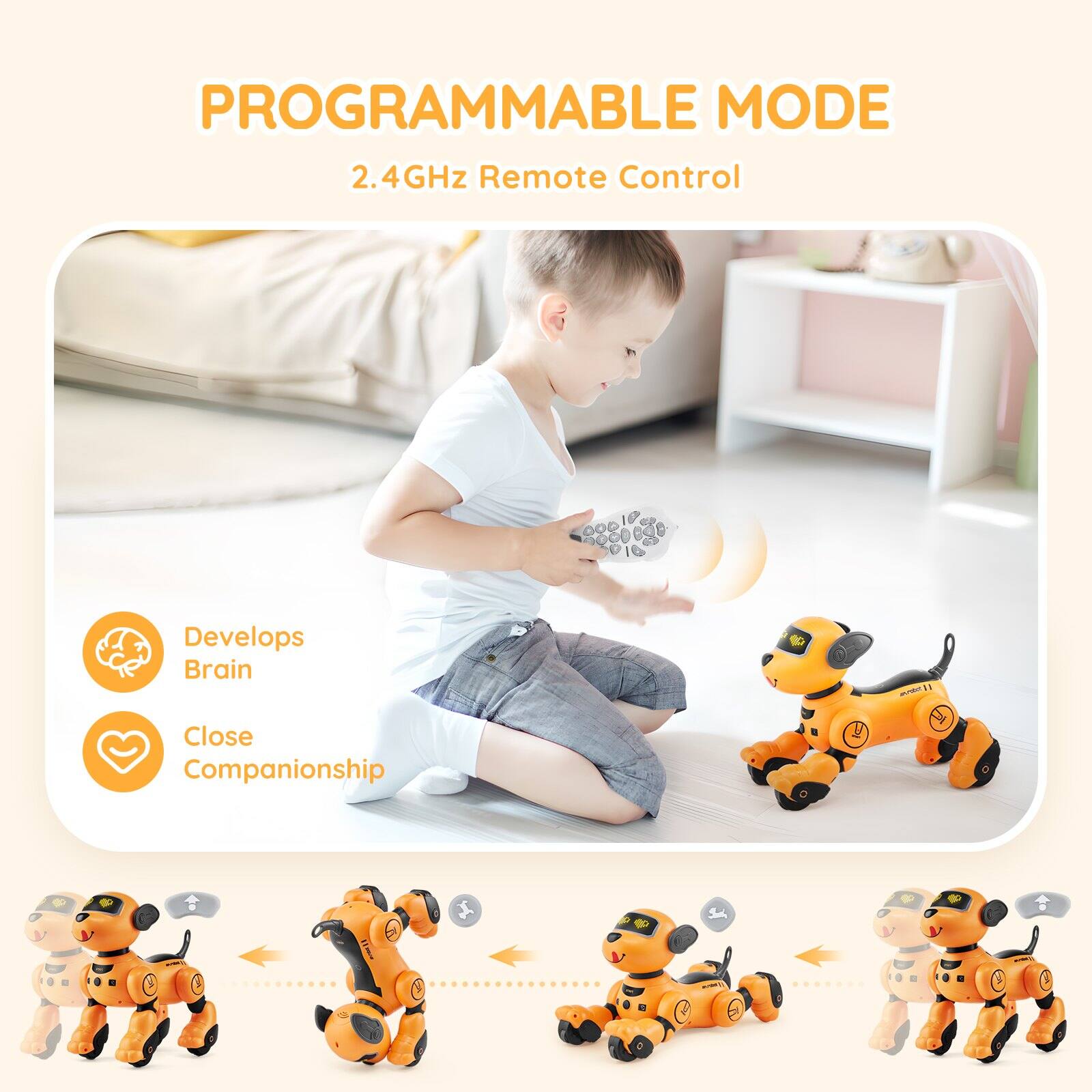 PROGRAMMABLE MODE  
2.4GHz Remote Control  

Develops Brain  
Close Companionship