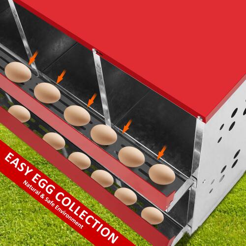 EASY EGG COLLECTION  
Natural & Safe Environment