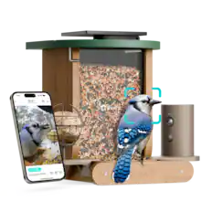 4 2 M V : | ... Birdfy Blue say 12 14 hours ago -