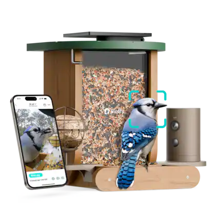 4 2 M V : | ... Birdfy Blue say 12 14 hours ago -