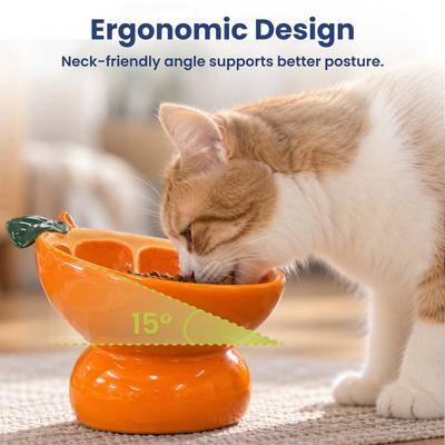 Ergonomic Design  
Neck-friendly angle supports better posture.  
15°