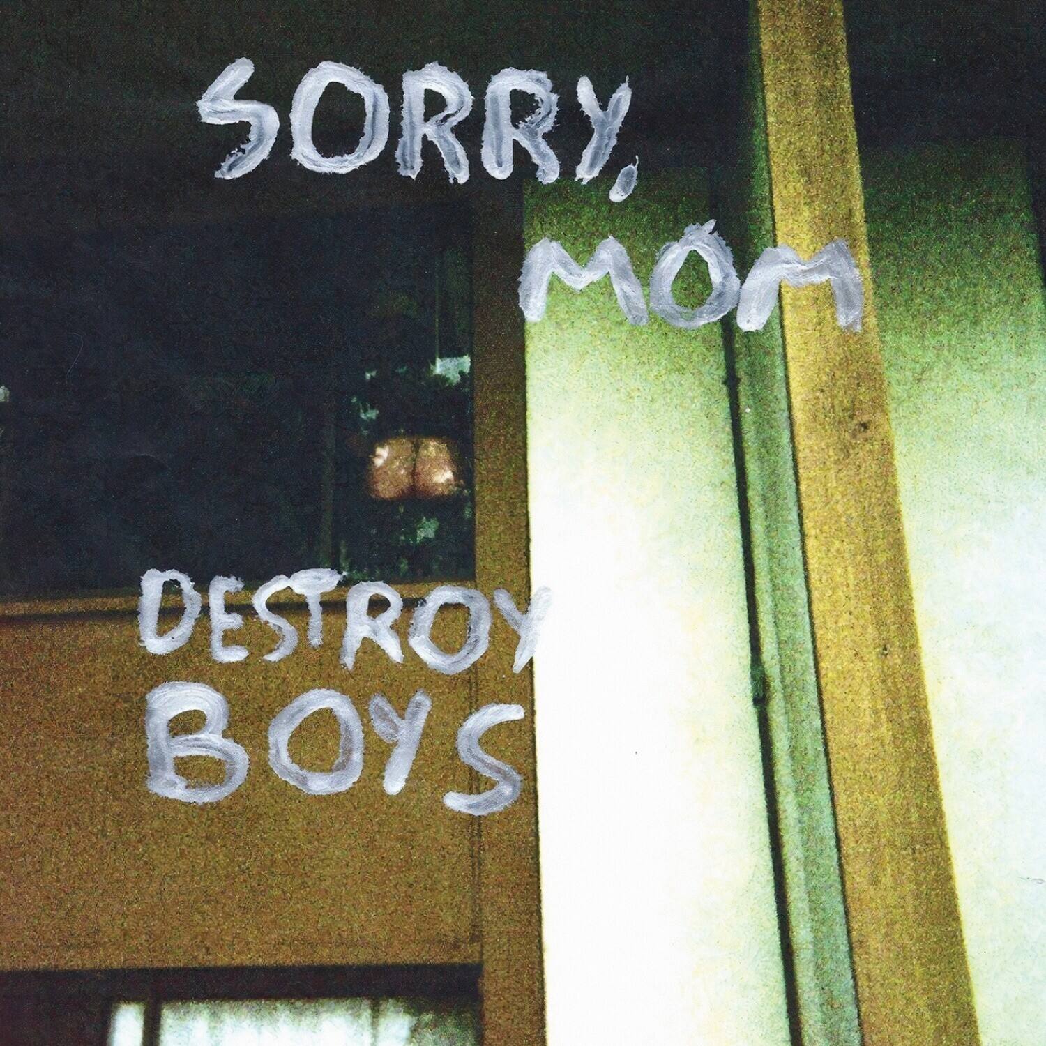 Sorry, Mom  
Destroy Boys