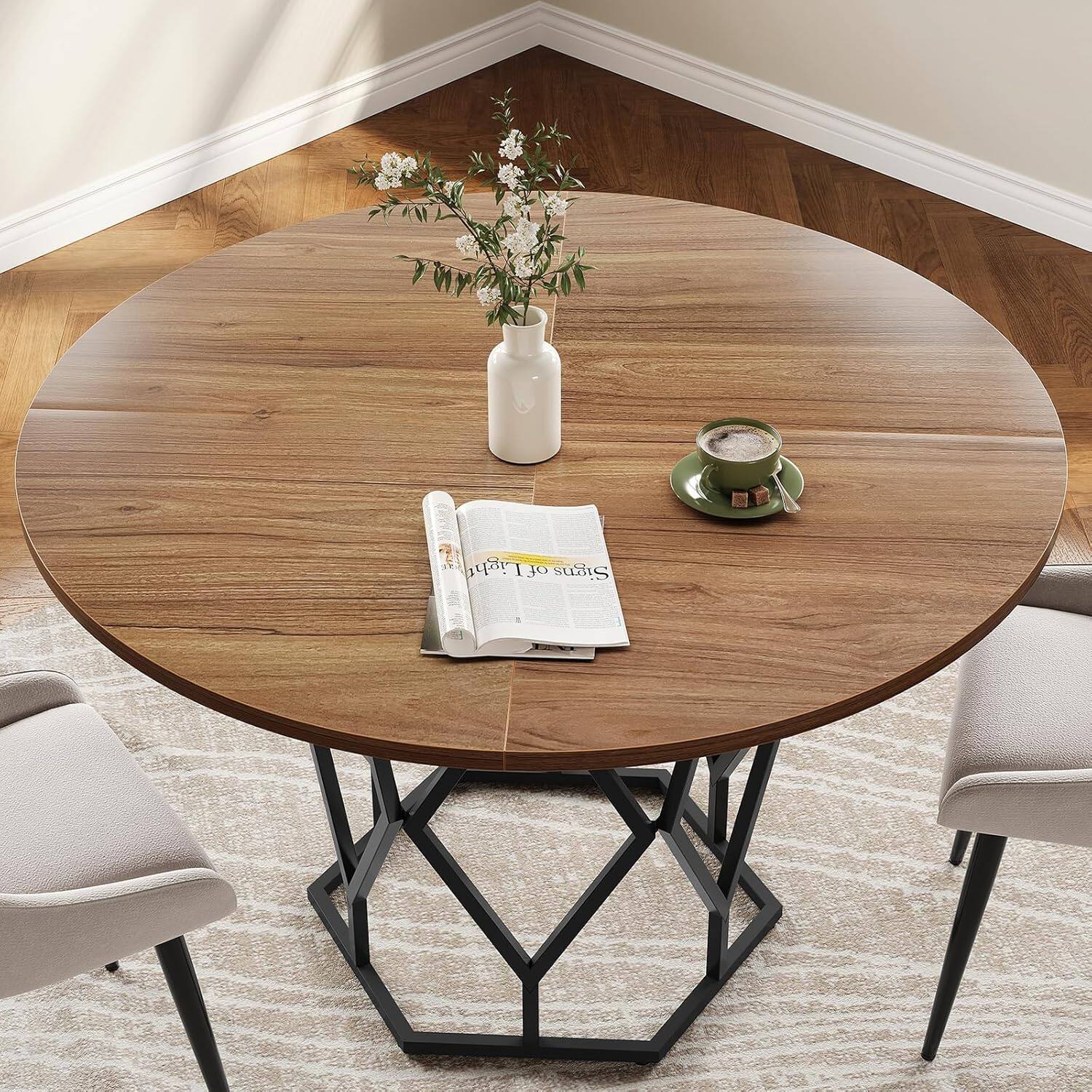 The text on the image reads:

"Light of Signs"