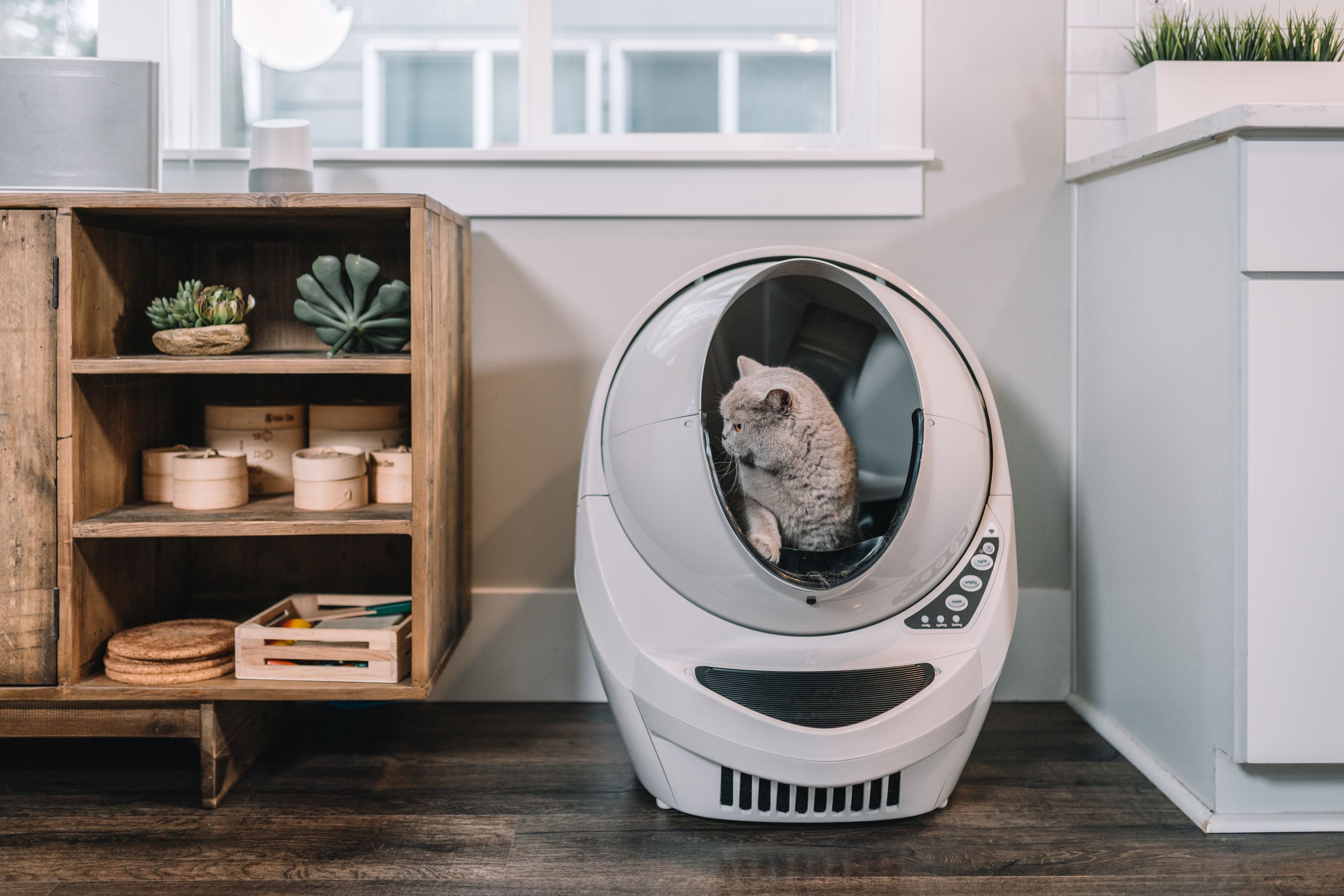 Alt View Zoom 17. Whisker - Litter-Robot 3 Connect - Smart Self-Cleaning Litter Box - Beige.