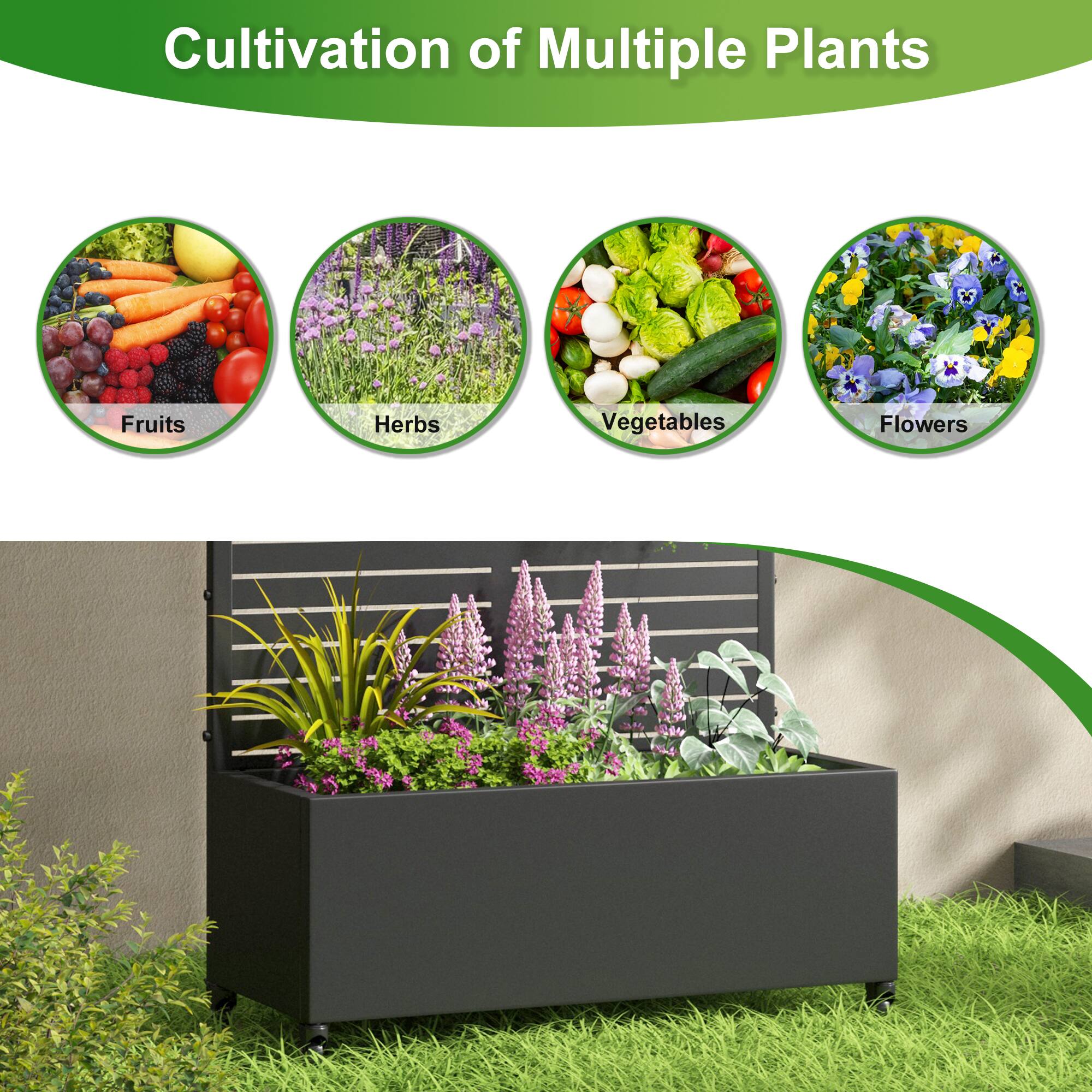 Cultivation of Multiple Plants

- Fruits
- Herbs
- Vegetables
- Flowers
