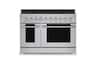 Hauslane - HausPro 48 in. 8 Burners (20,000 BTU) Freestanding Dual Fuel Range - Stainless Steel