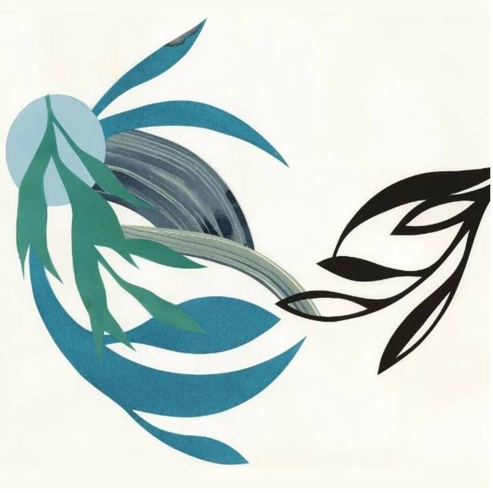 Front. The Natural Lines [LP].