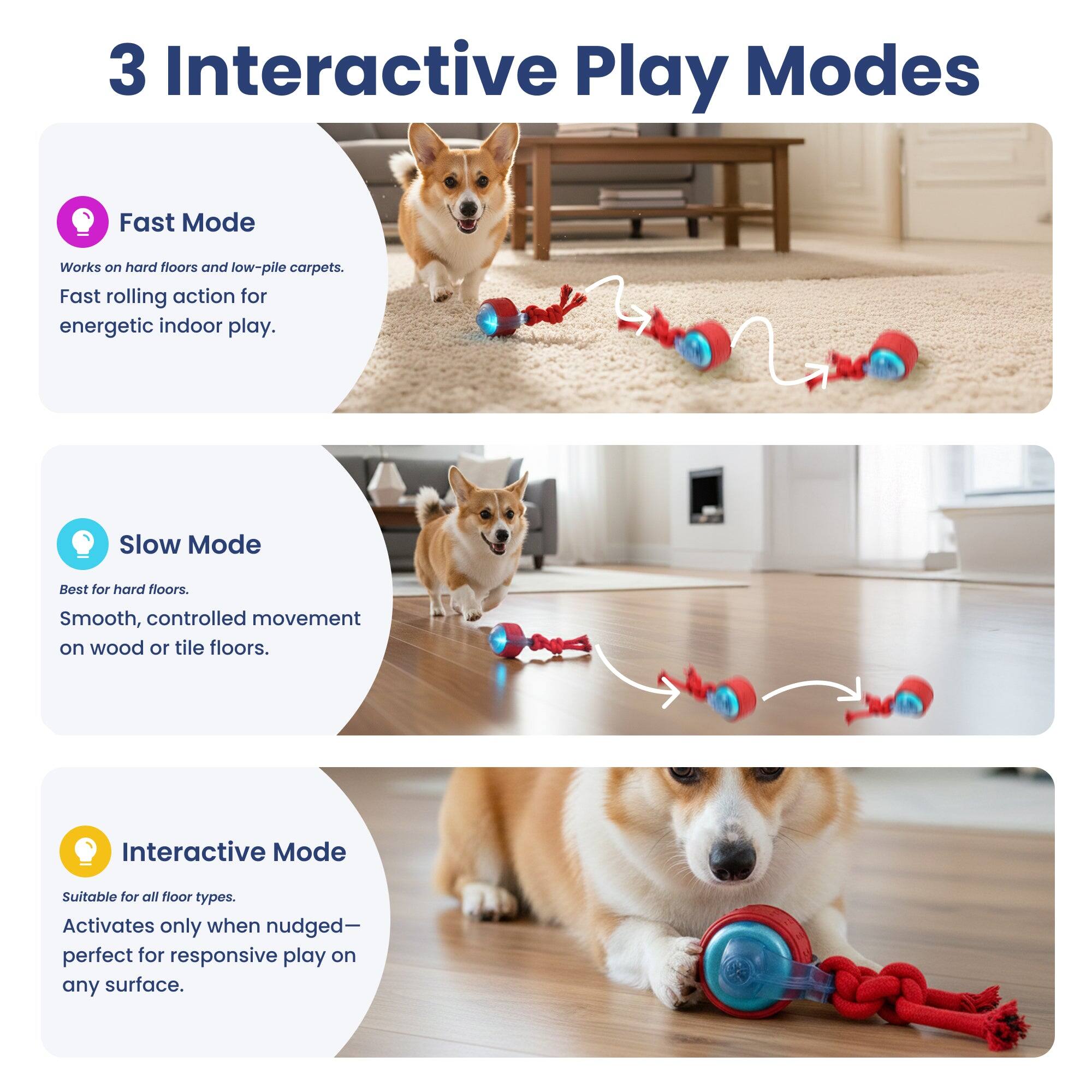 3 Interactive Play Modes

Fast Mode
Works on hard floors and low-pile carpets. Fast rolling action for energetic indoor play.

Slow Mode
Best for hard floors. Smooth, controlled movement on wood or tile floors.

Interactive Mode
Suitable for all floor types. Activates only when nudged—perfect for responsive play on any surface.