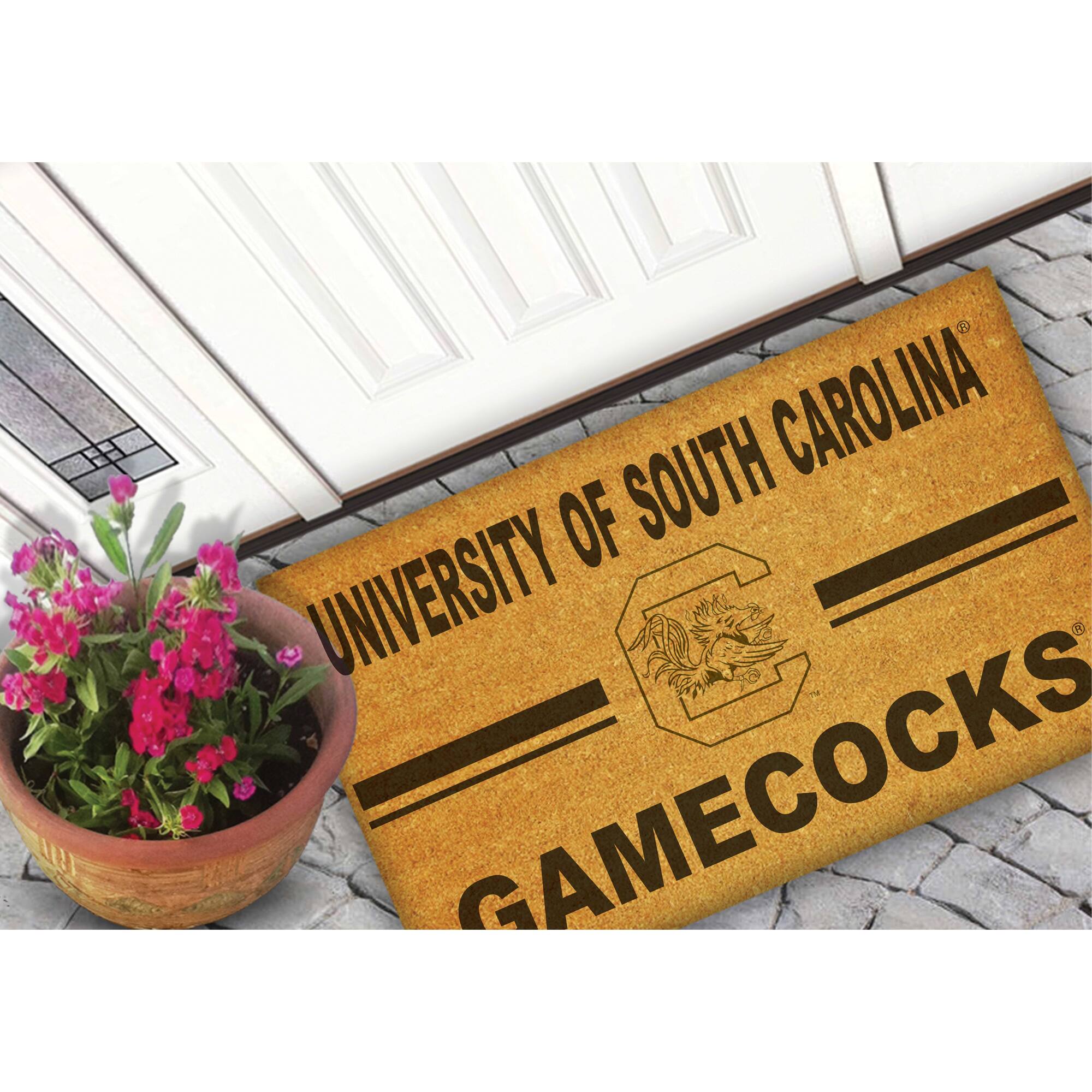 UNIVERSITY OF SOUTH CAROLINA  
GAMECOCKS