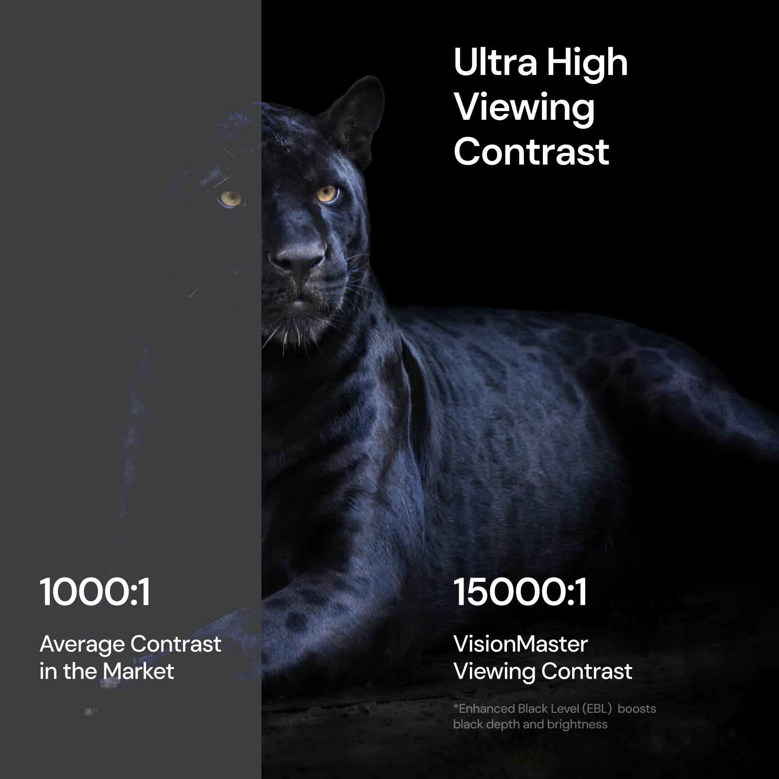 Ultra High Viewing Contrast: 1000:1 15000:1
Average Contrast in the Market: VisionMaster Viewing Contrast
"Enhanced Black Level (EBL) boosts black depth and brightness."