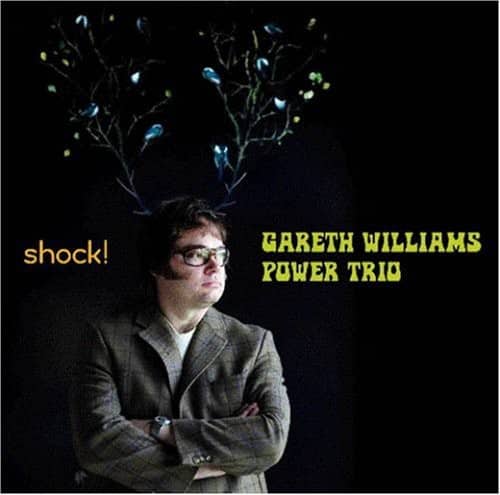 Gareth Williams - Shock: Gareth Williams Power Trio   - SUPER-AUDIO CD [Super Audio CD (SACD)] price history on PriceWatchPro