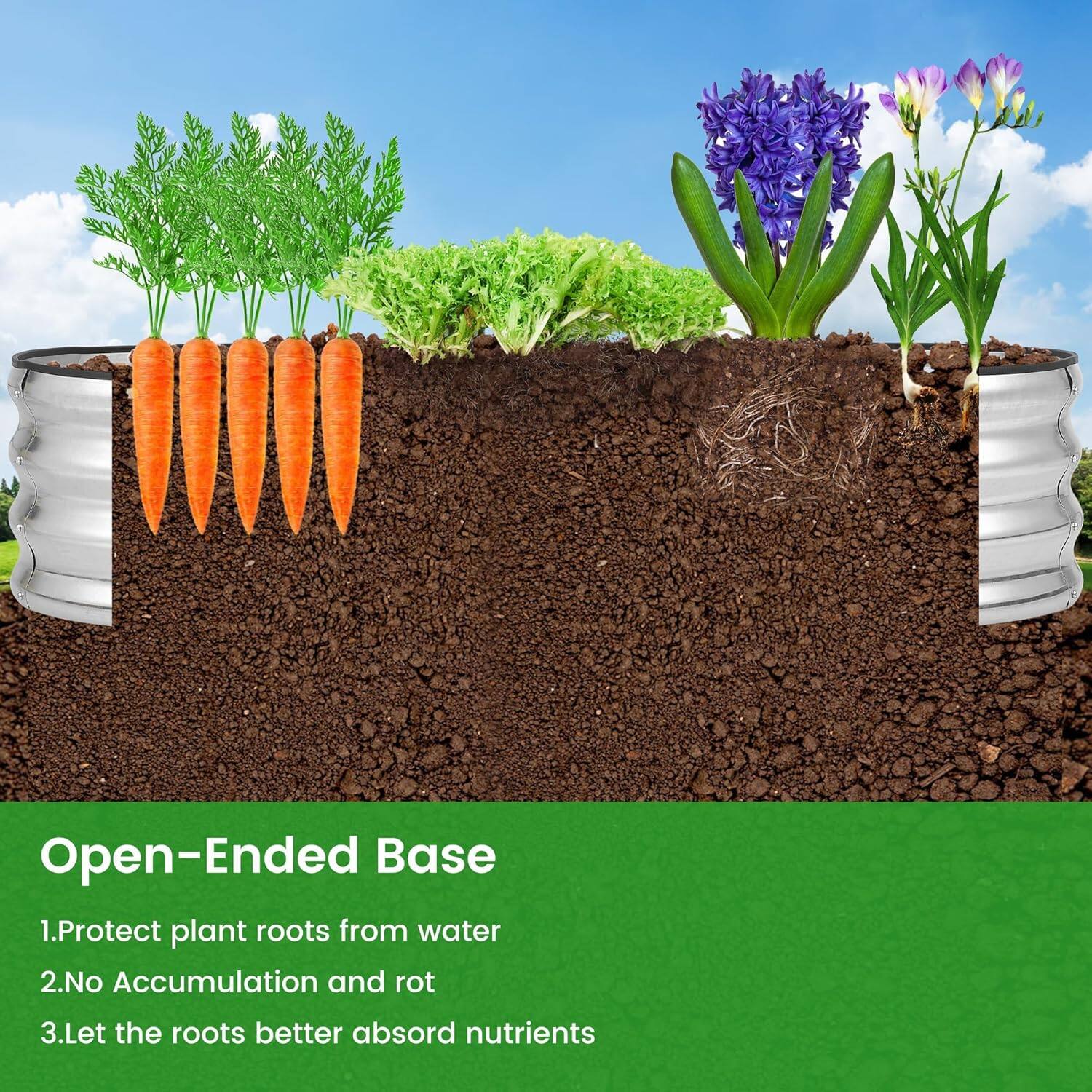 Open-Ended Base

1. Protect plant roots from water
2. No Accumulation and rot
3. Let the roots better absorb nutrients