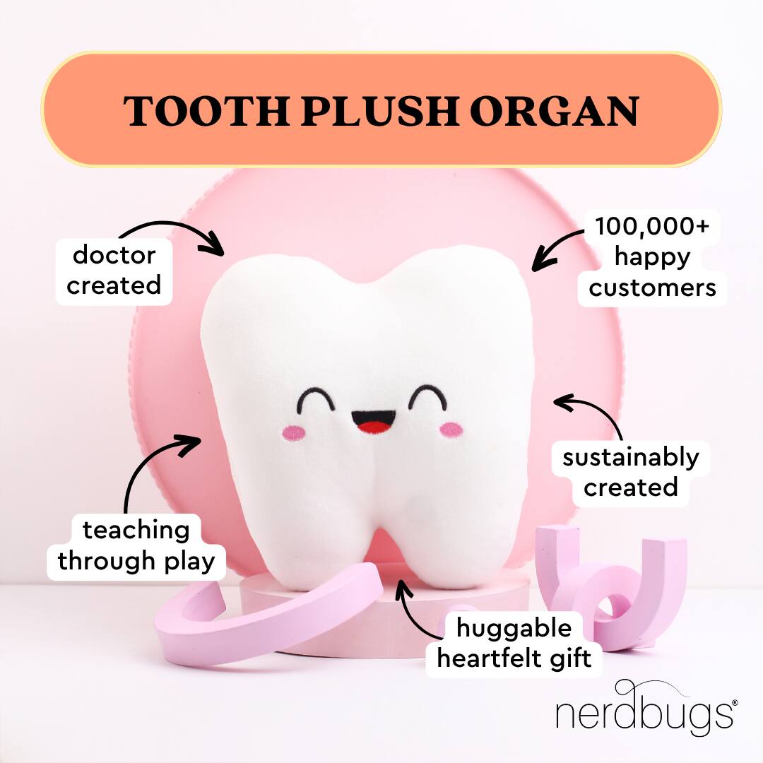 TOOTH PLUSH ORGAN

- doctor created
- teaching through play
- sustainably created
- huggable heartfelt gift
- 100,000+ happy customers

nerdbugs®