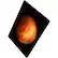 Alt View 11. Apple - Certified Refurbished - Apple 12.9-inch iPad Pro (1st Generation) (2015) Wi-Fi - 32GB - Space Gray.
