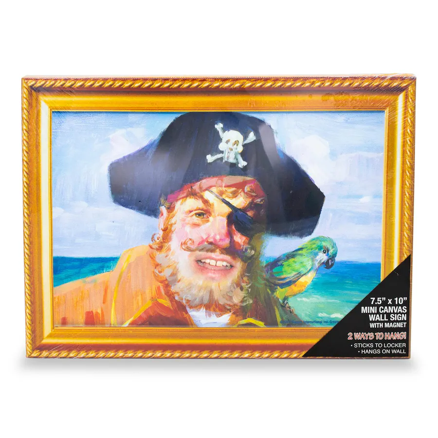 Wall Sign Format Silver Buffalo SpongeBob SquarePants Captain Painty the Pirate Canvas ...