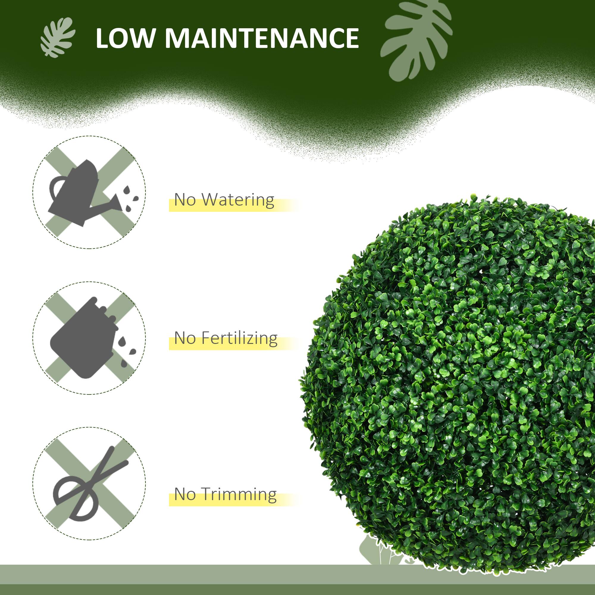 LOW MAINTENANCE
No Watering
No Fertilizing
No Trimming