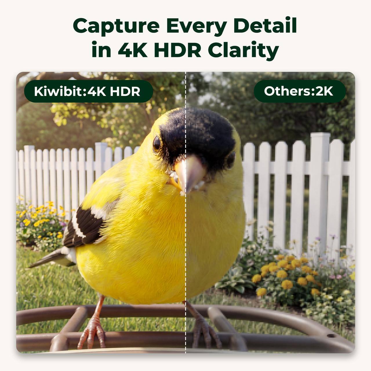 Capture Every Detail in 4K HDR Clarity

Kiwibit: 4K HDR

Others: 2K