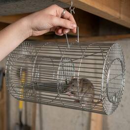 LIVEVIE - Humane Mouse Trap Multi-Catch Live Release Rodent Trap Set of 4