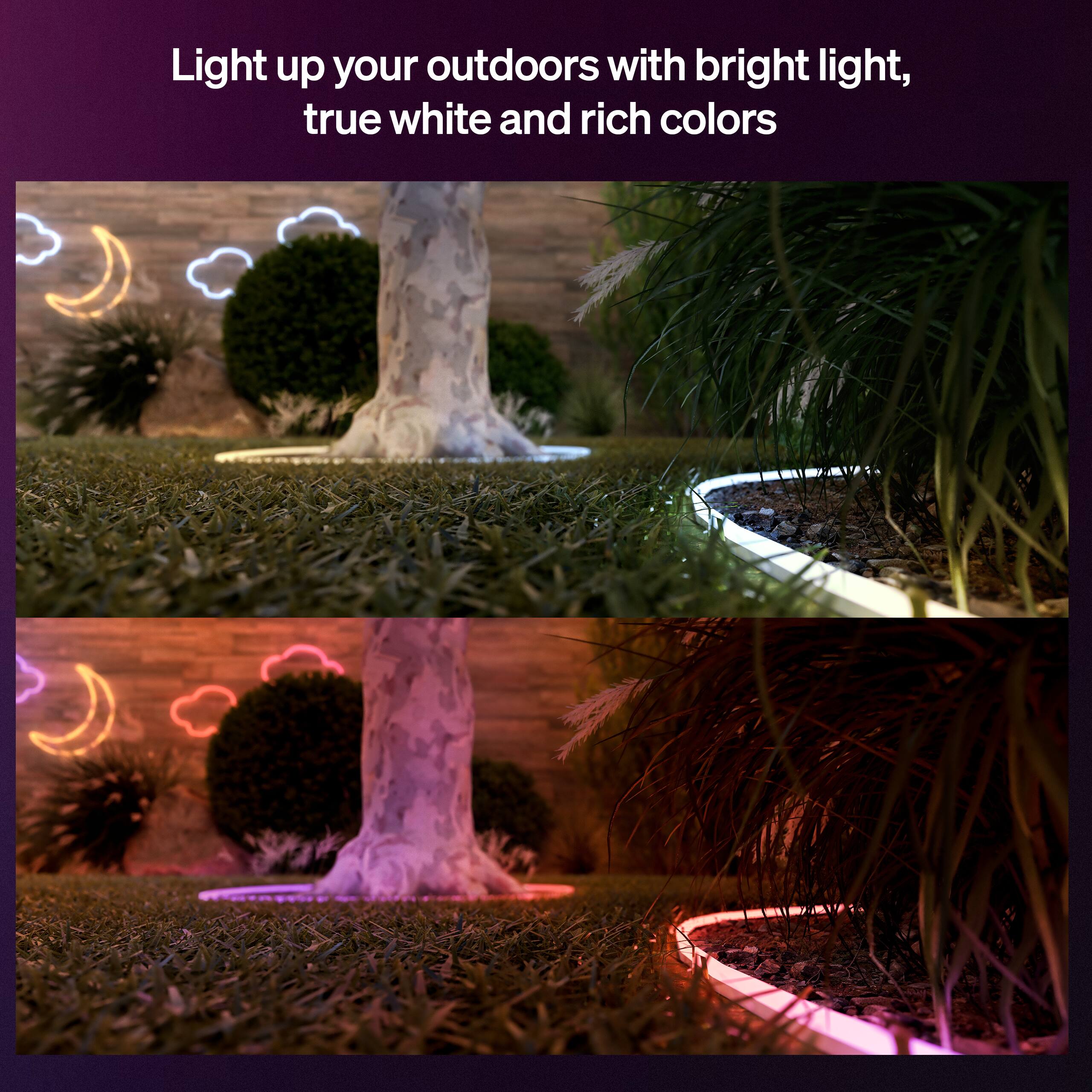 Light up your outdoors with bright light, true white and rich colors