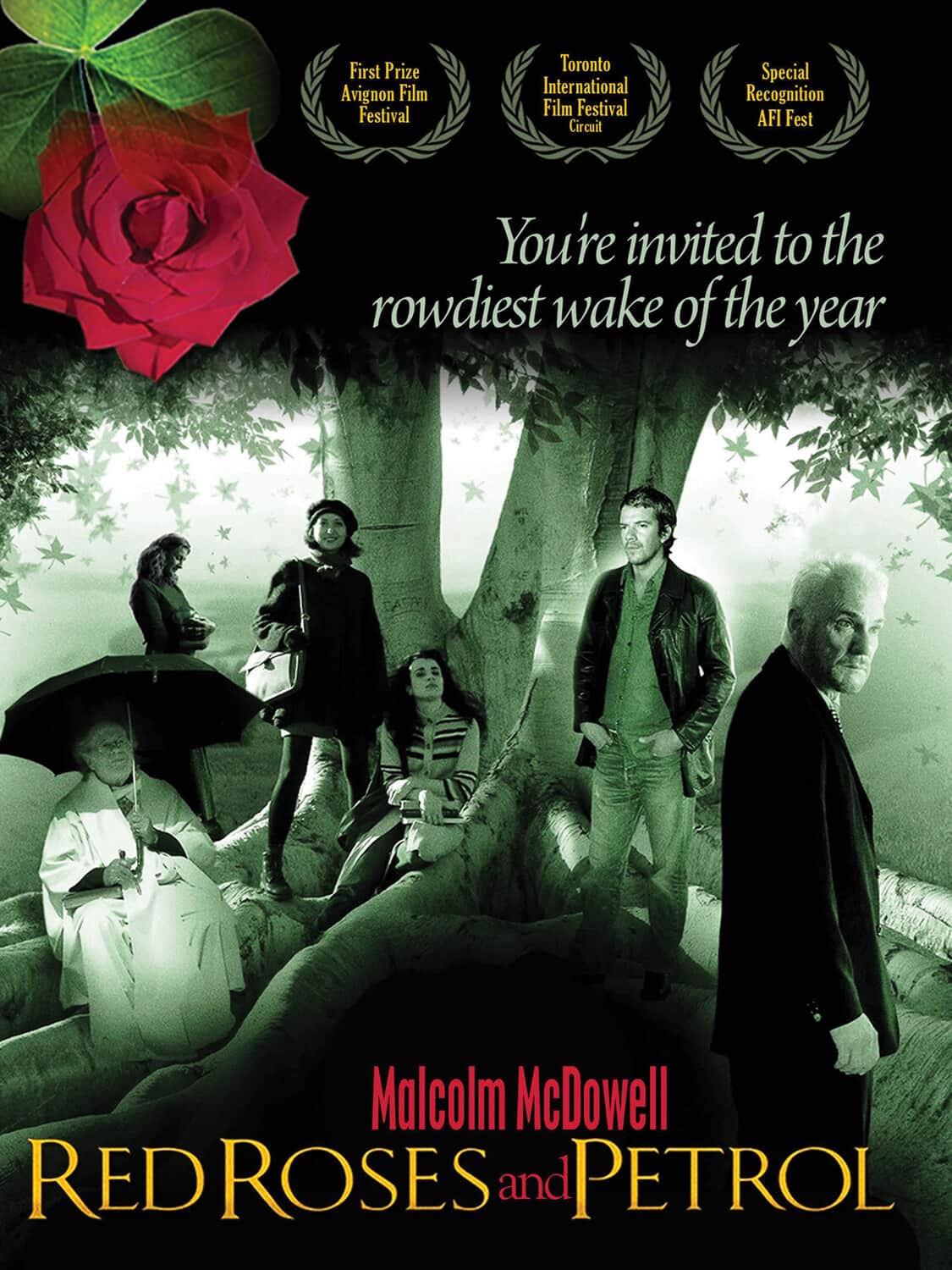 Red Roses And Petrol  - DVD